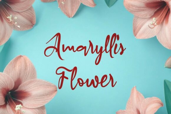 A Practical Guide to Amaryllis Flower: A Font for Cohesive Branding