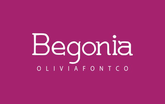 Begonia Font: A Romantic Handwritten Script for Brand Storytelling