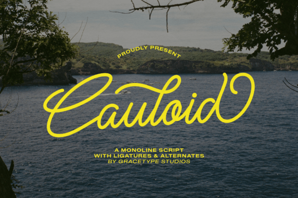 Cauloid: A Script Font Designed to Captivate and Convert