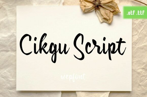 Cikgu Script: A Confident and Approachable Typographic Voice